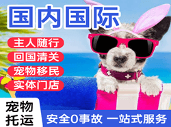 百色巴马空运地址国际宠物托运 【国